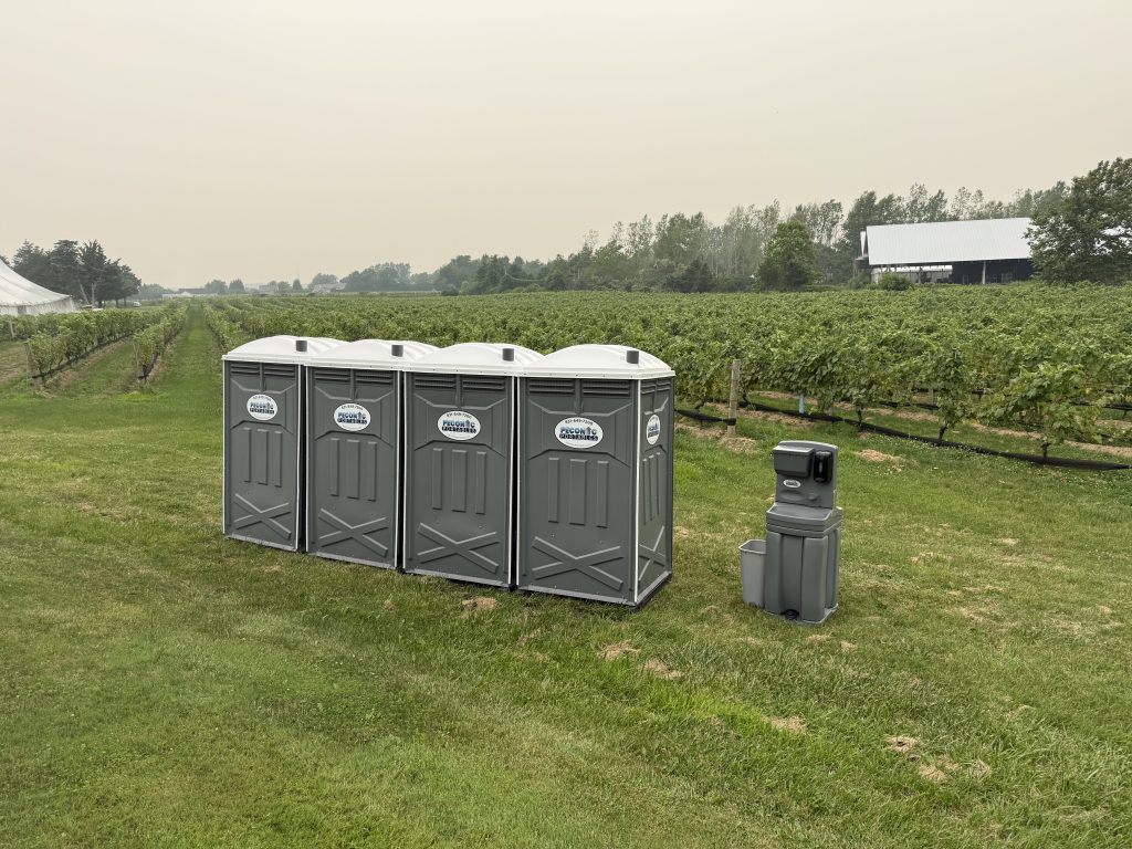 Hamptons Vineyard
