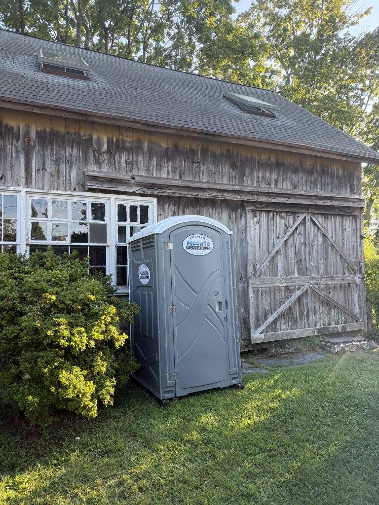 Wheelchair accessible toilet